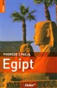 Podróże z pasją Egipt - Dan Richardson, Daniel Jacobs - Polish Bookstore USA