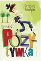 Detektyw Pozytywka - Polish Bookstore USA