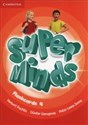 Super Minds Flashcards 4 Pack of 89 Polish bookstore