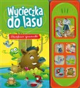 Dźwiękowe opowiastki. Wycieczka do lasu online polish bookstore