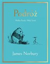 Podróż. Wielka Panda i Mały Smok - Polish Bookstore USA