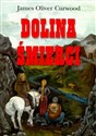 Polonia amerykańska w polityce polskiej Historia Komitetu Narodowego Amerykanów Polskiego Pochodzenia pl online bookstore