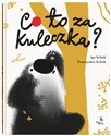 Co to za kuleczka? - Iga Ścibek, Przemysław Ścibek - Polish Bookstore USA