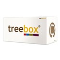 Fiszki Treebox Poradnik + pudełko do nauki polish usa