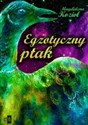 Egzotyczny ptak buy polish books in Usa