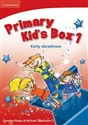 Primary Kid's Box Level 1 Flashcards Polish polish books in canada