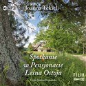 [Audiobook] Spotkanie w Pensjonacie Le pl online bookstore