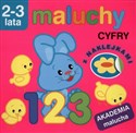 Maluchy Cyfry 2-3 lata - Polish Bookstore USA