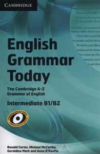 English Grammar Today Book with Workbook chicago polish bookstore