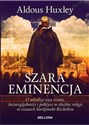 Szara eminencja pl online bookstore