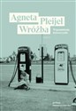 Wróżba Wspomnienia dziewczynki - Agneta Pleijel