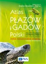 Atlas płazów i gadów Polski Status – rozmieszczenie – ochrona z kluczami do oznaczania - Zbigniew Głowaciński, Piotr Sura books in polish