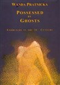 Possessed By Ghosts in polish