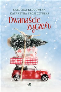 Dwanaście życzeń buy polish books in Usa