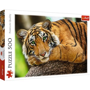 Puzzle 500 Portret tygrysa 37397 buy polish books in Usa
