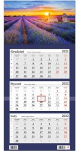 Kalendarz ścienny 2022 trójdzielny Pole Lawendy z okienkiem bookstore