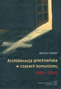 Archidiecezja gnieźnieńska w czasach komunizmu 1945-1980 online polish bookstore