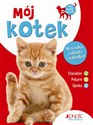 Mój kotek książeczka z naklejkami - Polish Bookstore USA