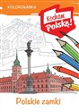 Kolorowanka Polskie zamki - Krzysztof Kiełbasiński in polish