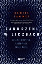 Zanurzeni w liczbach Jak matematyka kształtuje nasze życie in polish