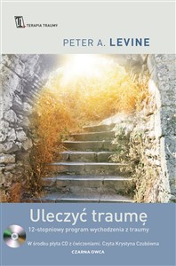 Uleczyć traumę 12-stopniowy program wychodzenia z traumy Polish Books Canada