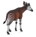 Okapi L  - 