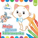 Moja pierwsza kolorowanka 2+ DDC-3  