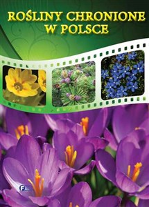 Rośliny chronione w Polsce online polish bookstore