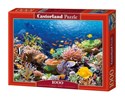 Puzzle Coral Reef - 
