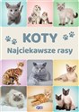 Koty Najciekawsze rasy - Opracowanie Zbiorowe