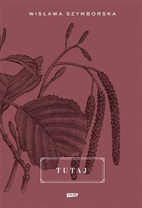 Tutaj to buy in USA