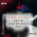 CD MP3 Krzyk zagubionych serc. Prawda zapisana w popiołach. Tom 2  - Joanna Jax