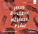 [Audiobook] Wzgórze psów - Jakub Żulczyk in polish