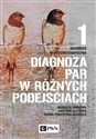 Diagnoza w psychoterapii par Tom 1 Diagnoza par w różnych podejściach - Hanna Pinkowska-Zielińska, Bartosz Zalewski