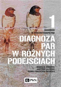 Diagnoza w psychoterapii par Tom 1 Diagnoza par w różnych podejściach Polish Books Canada