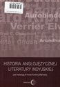Historia anglojęzycznej literatury indyjskiej - 