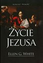 Życie Jezusa polish books in canada