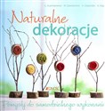 Naturalne dekoracje Pomysły do samodzielnego wykonania - Gerlinde Auenhammer, Marion Dawidowski, Annette Diepolder