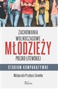 Zachowania wolnoczasowe młodzieży polsko-litewskiej. Studium komparatywne 