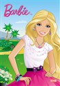 Barbie Kolorowanka KR248 polish usa