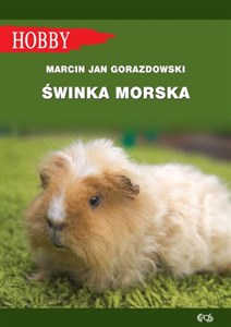 Świnka morska  