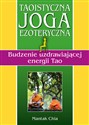 Taoistyczna joga ezoteryczna. Budzenie uzdrawiającej energii Tao online polish bookstore
