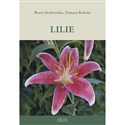 Lilie pl online bookstore