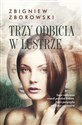 Trzy odbicia w lustrze polish books in canada