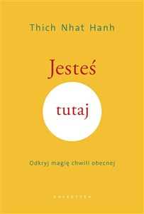 Jesteś tutaj Odkryj magię chwili obecnej  