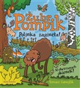 Żubr Pompik Polinka zaginęła 12 kartonowych stron z okienkami Polish Books Canada