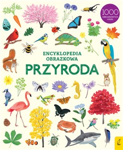 Encyklopedia obrazkowa Przyroda Polish Books Canada