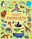 Encyklopedia obrazkowa Zwierzęta  