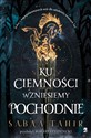 Ku ciemności wzniesiemy pochodnie  pl online bookstore