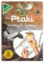 Ptaki naszych lasów Część 2 - Katarzyna Kopiec-Sekieta, Grazyna Maternicka buy polish books in Usa